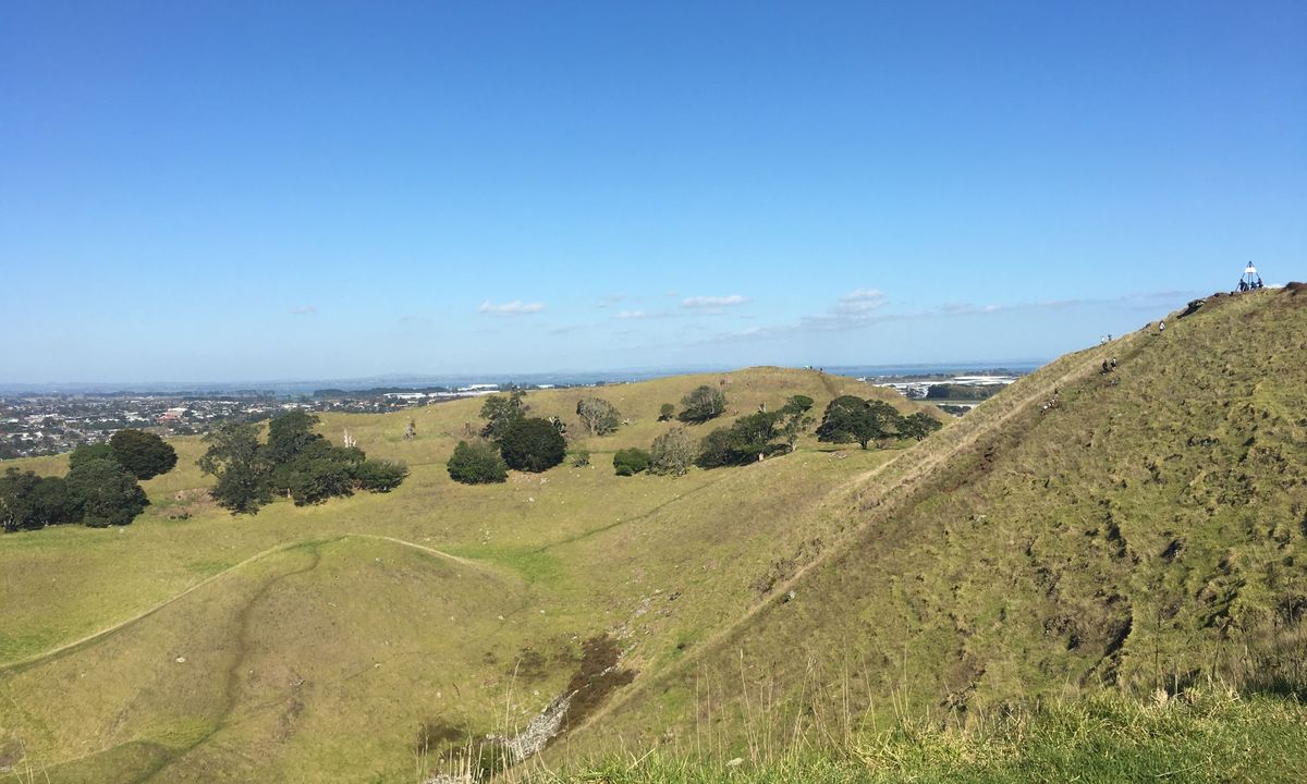 Mangere Mountain Crater loop, Auckland