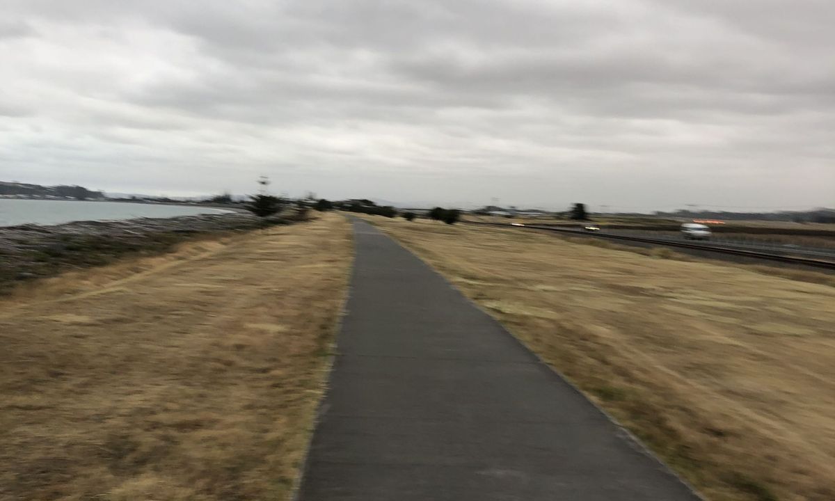 Westshore Flattie, Hawkes Bay