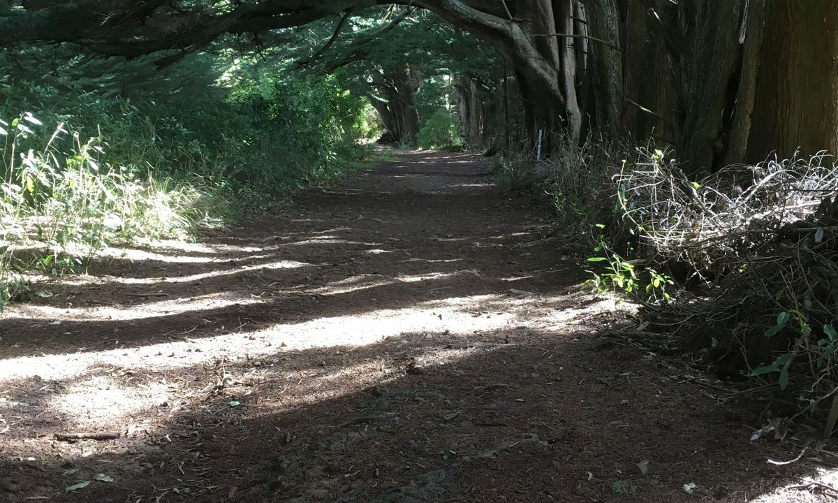 Karetai, Highcliff, Paradise and Greenacres, Otago