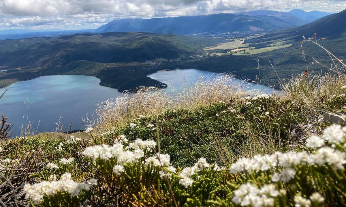 Mt Robert Loop, Tasman