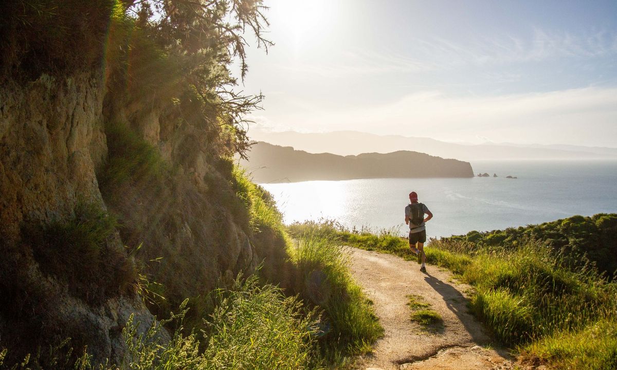 Separation Point Loop, Tasman