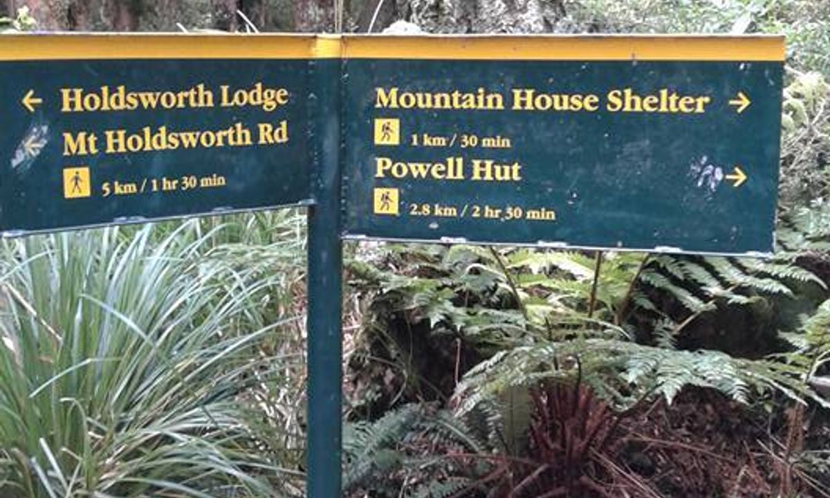 Powell Hut, Wellington