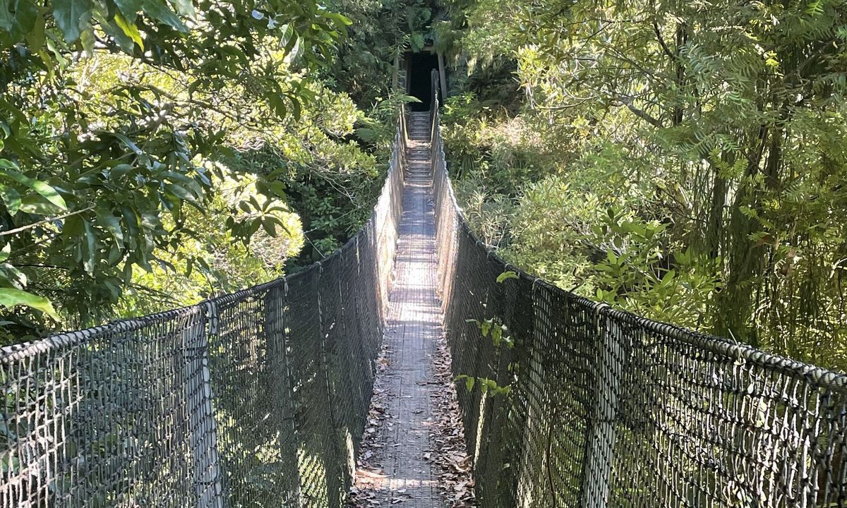 Waiorongomai Valley Adventures, Waikato