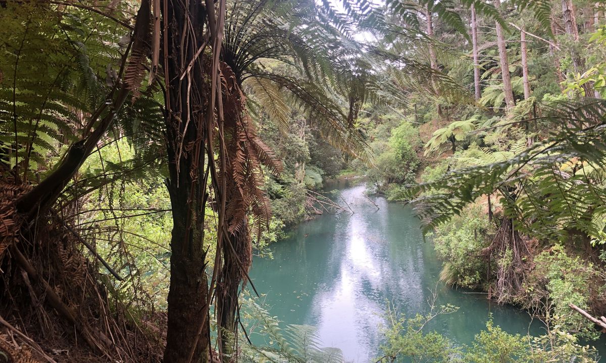 Waitahinga Dam Loop, Manawatu - Wanganui