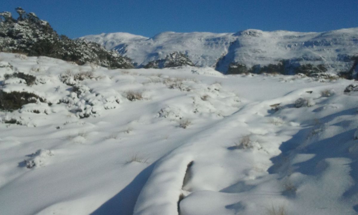 Greenstone/Caples, Otago