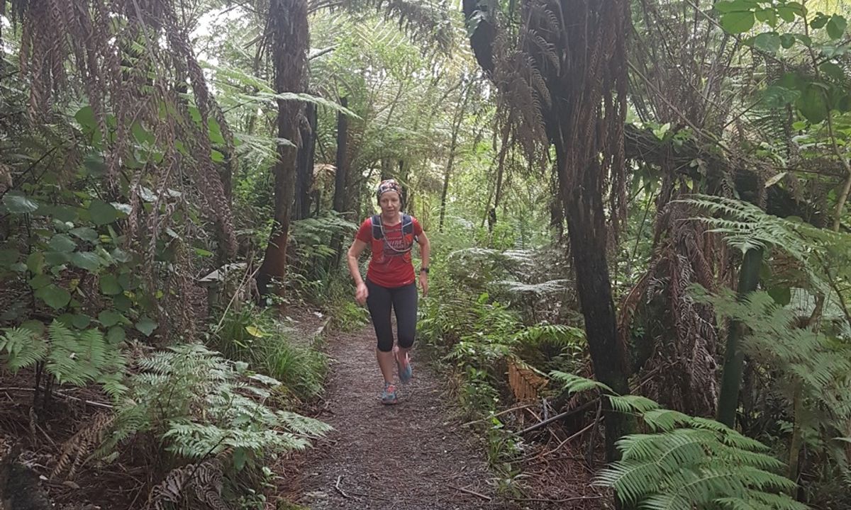 Centennial Park trails (Campbells Bay), Auckland