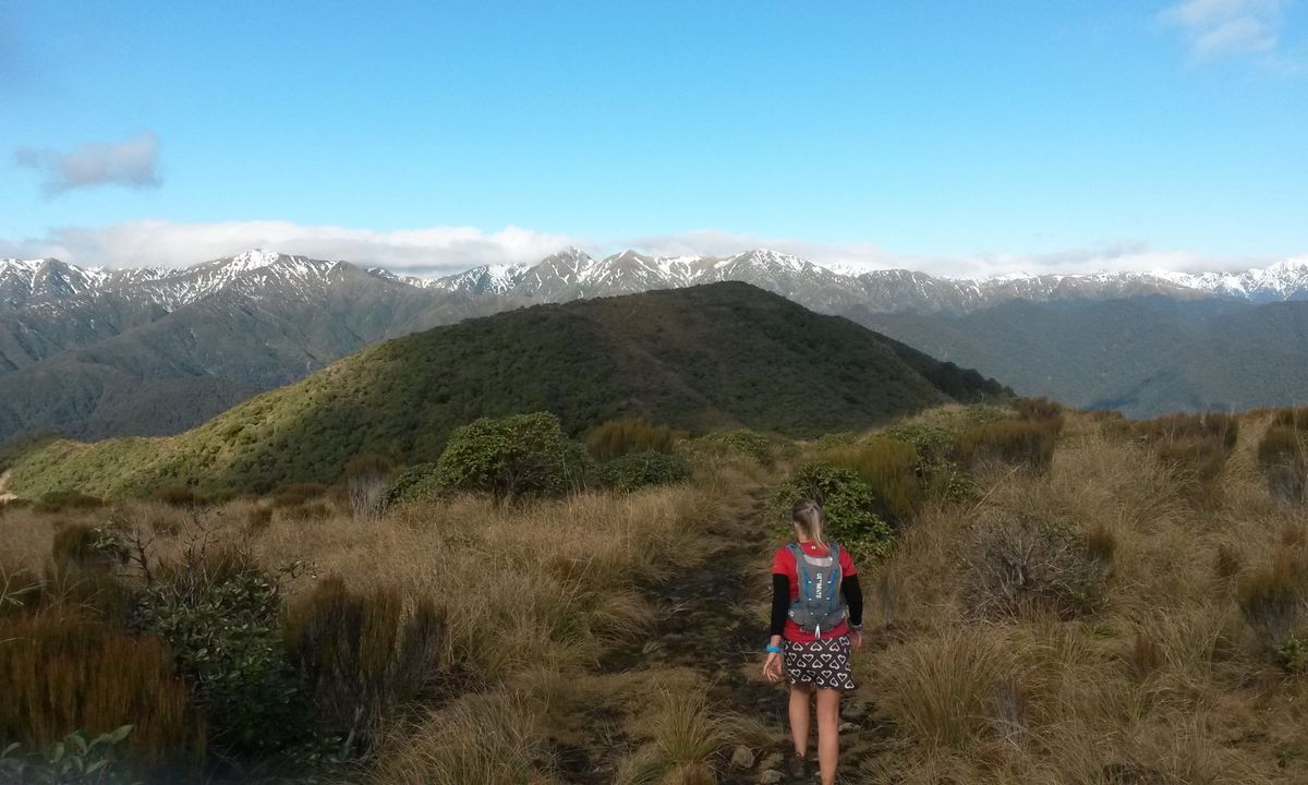 Waiopehu Gable Grunt, Manawatu - Wanganui