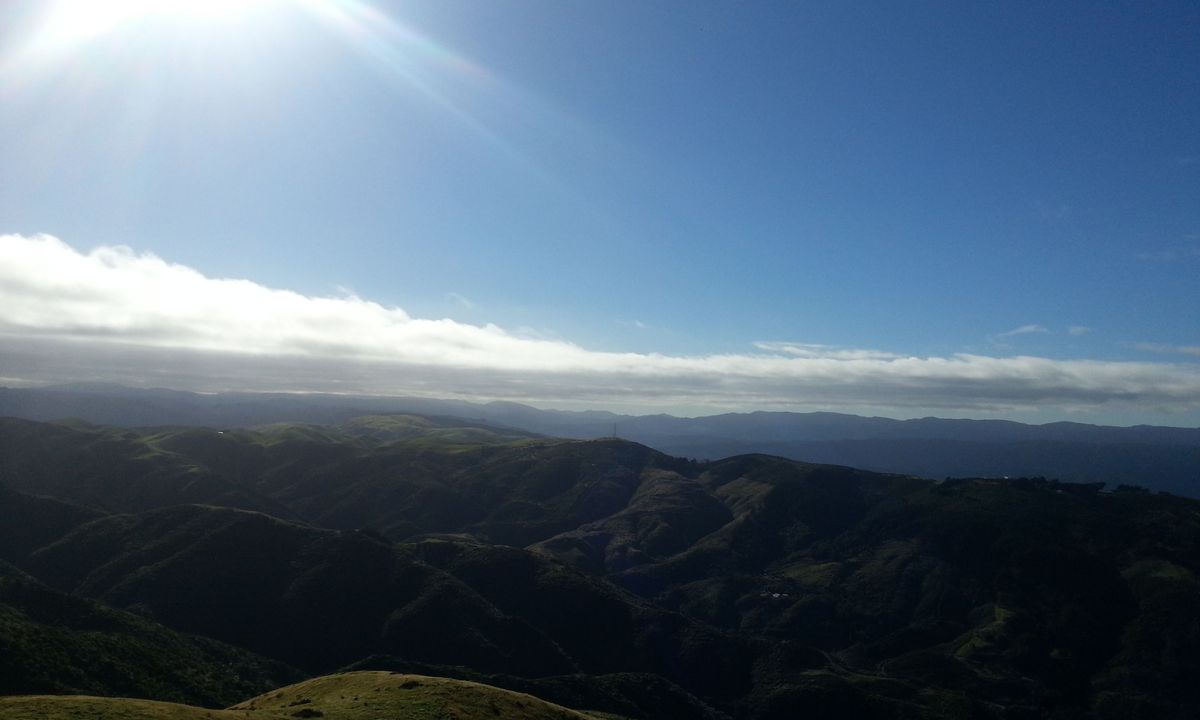 Belmont Regional Park - Oakleigh to Hill, Wellington
