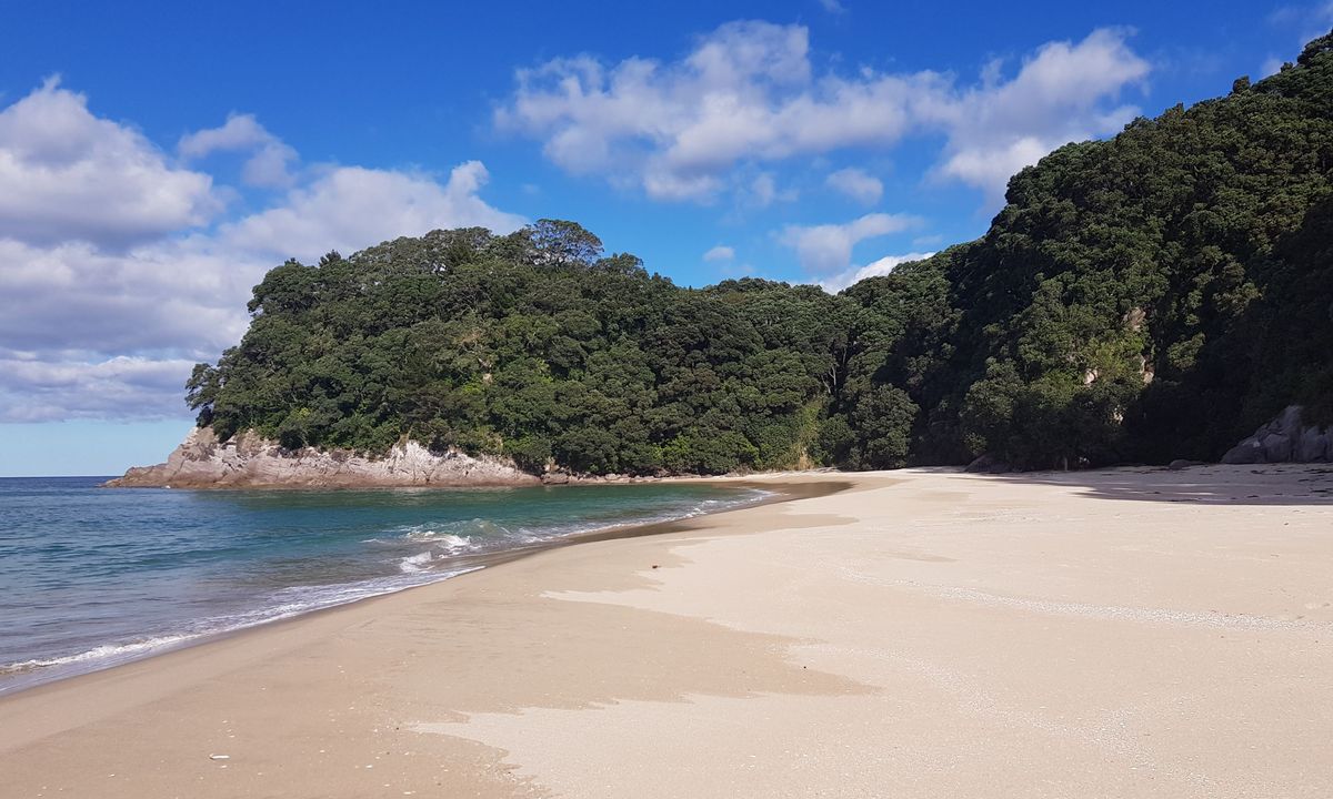 Paradise in Onemana, Waikato