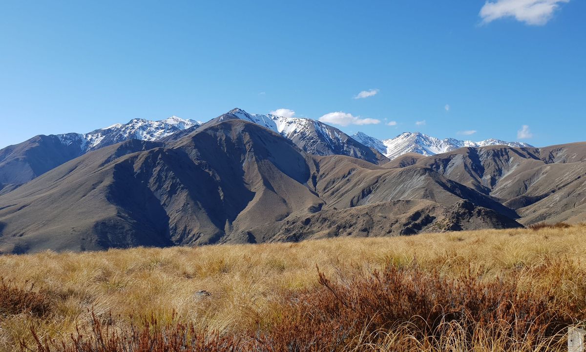Mt Somers Woolshed Loop, Canterbury