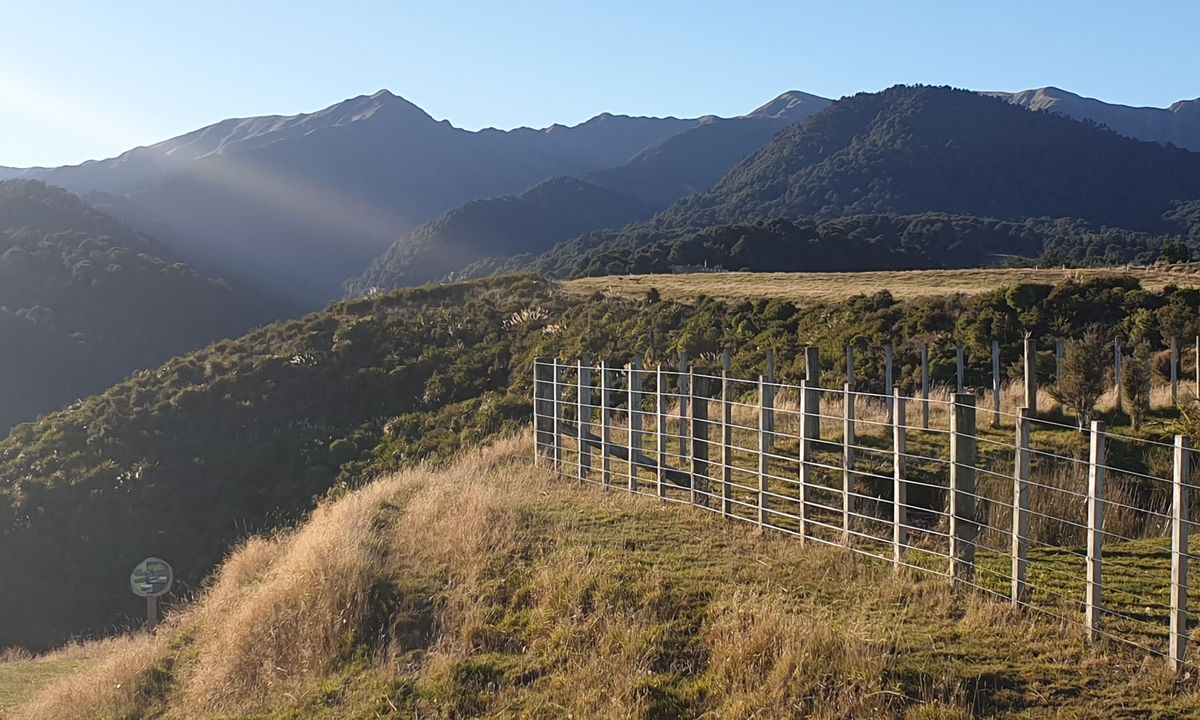 Iron Gate Hut to Tunupo High Point Loop, Manawatu - Wanganui