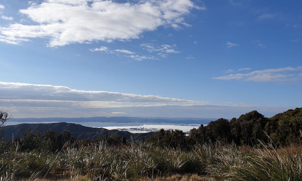 Northern Tararua Traverse, Manawatu - Wanganui