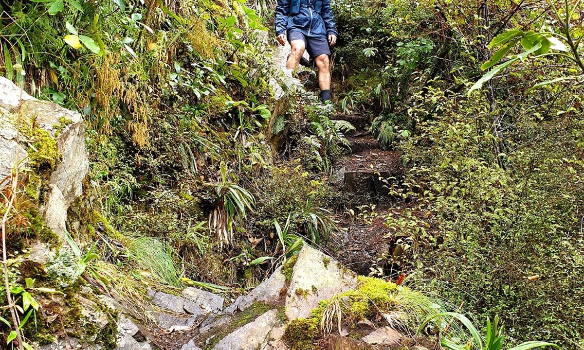 Mt Nimrod Easement Track, Canterbury