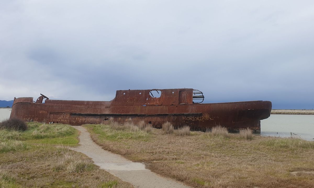 Wairau Lagoons Loop, Marlborough