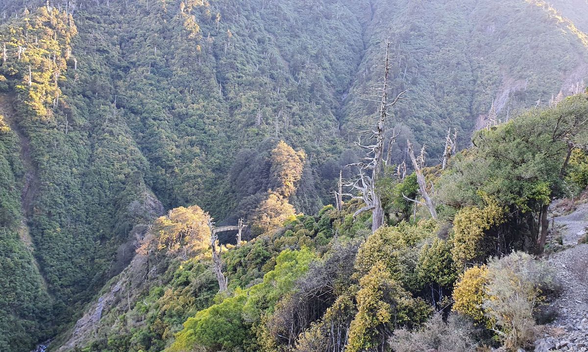 Rangiwahia Hut - Deadmans Track, Manawatu - Wanganui