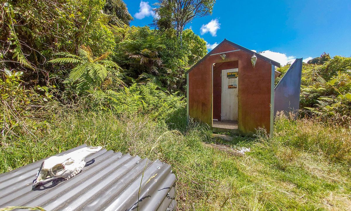 Kaimai South Side To Hurunui Hut, Waikato