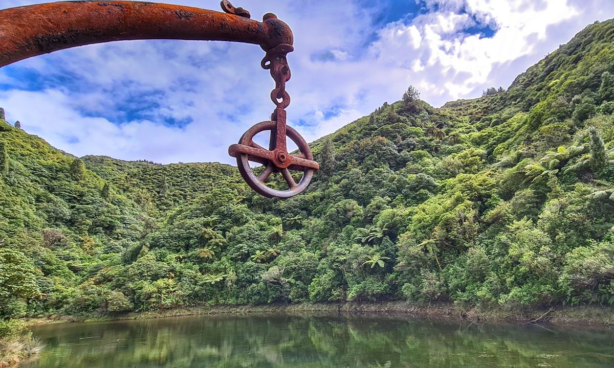 Birchville Dam Loop, Wellington