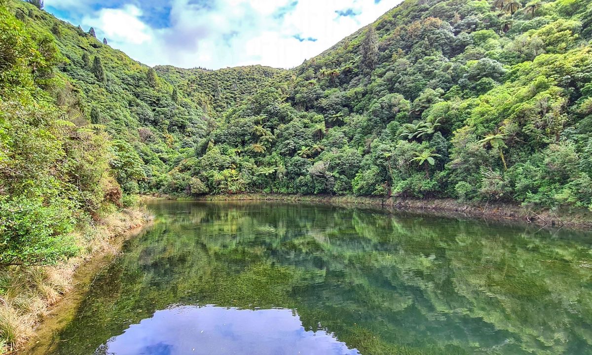 Birchville Dam Loop, Wellington