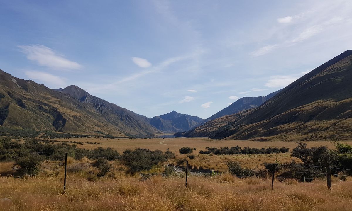 The Felic Relic , Otago