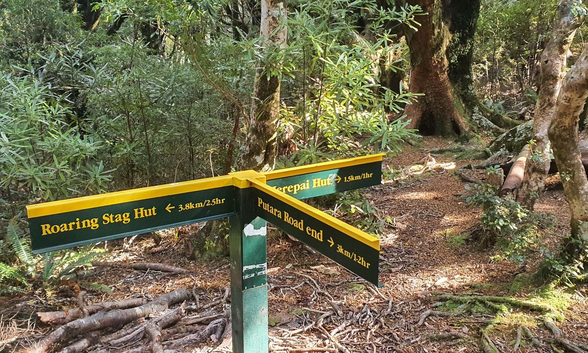 Herepai & Roaring Stag Huts, Manawatu - Wanganui