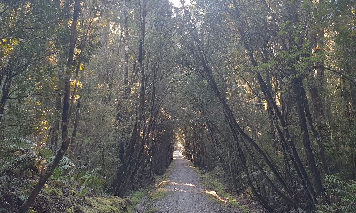 Mahinapua Walkway, West Coast