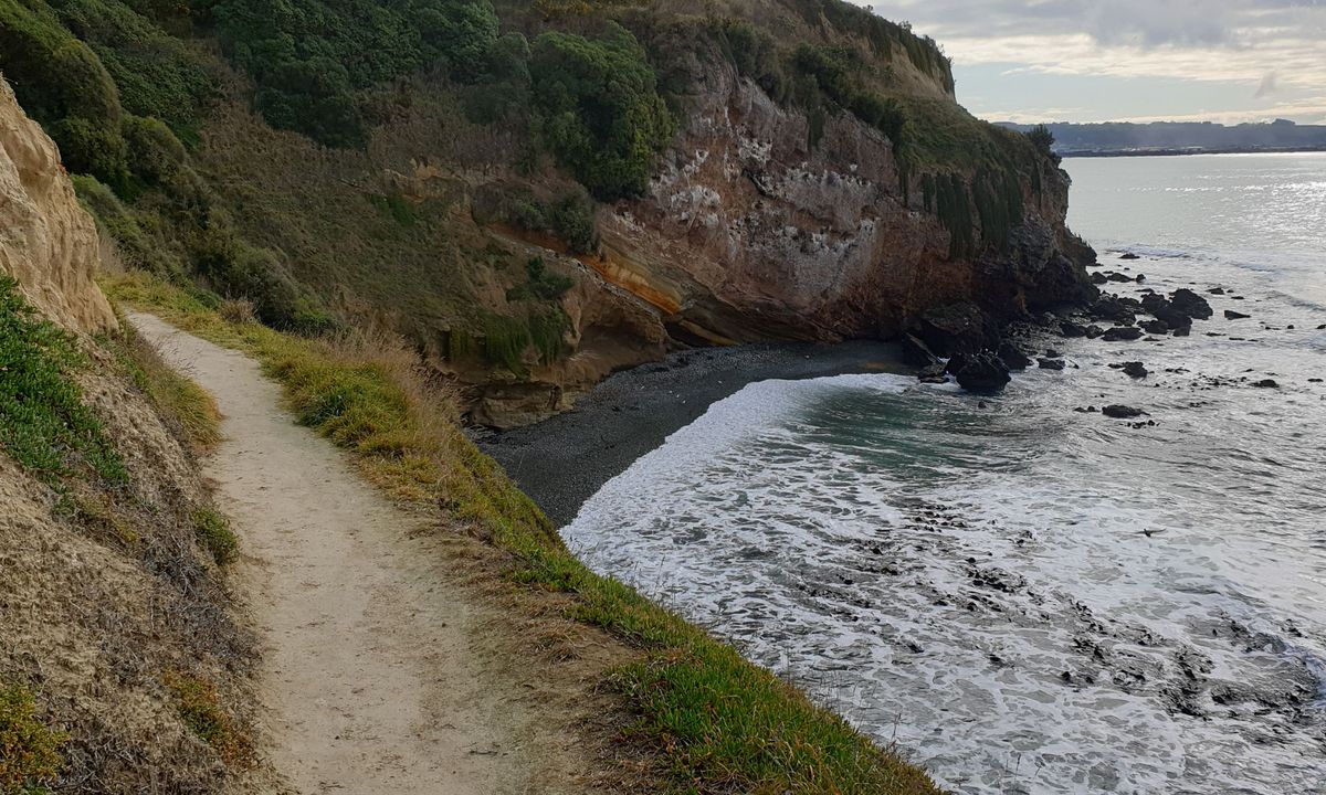 Caped Crusader, Otago