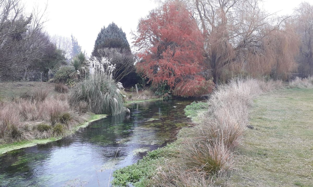 Silver Stream, Canterbury
