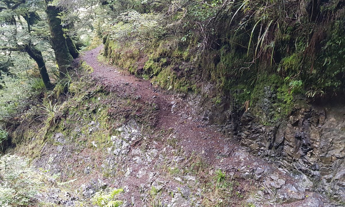 Te Iringa Track , Waikato