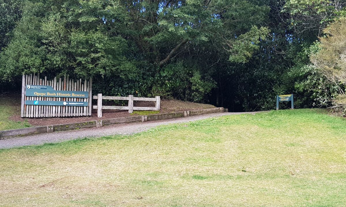 Opepe Reserve, Waikato