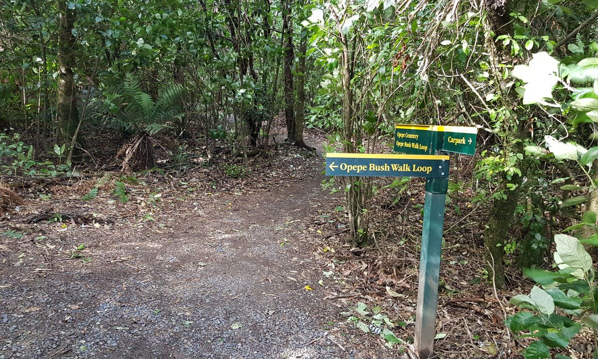 Opepe Reserve, Waikato