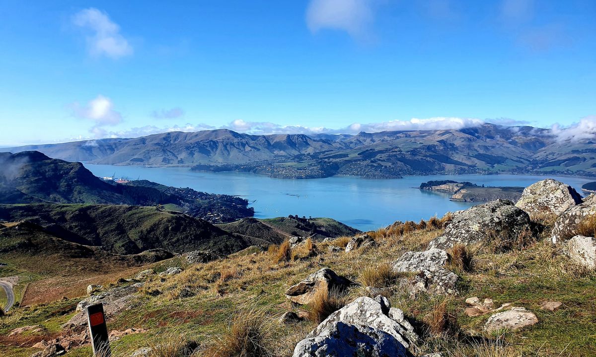 Sign Of The Takahe - Rapaki, Canterbury