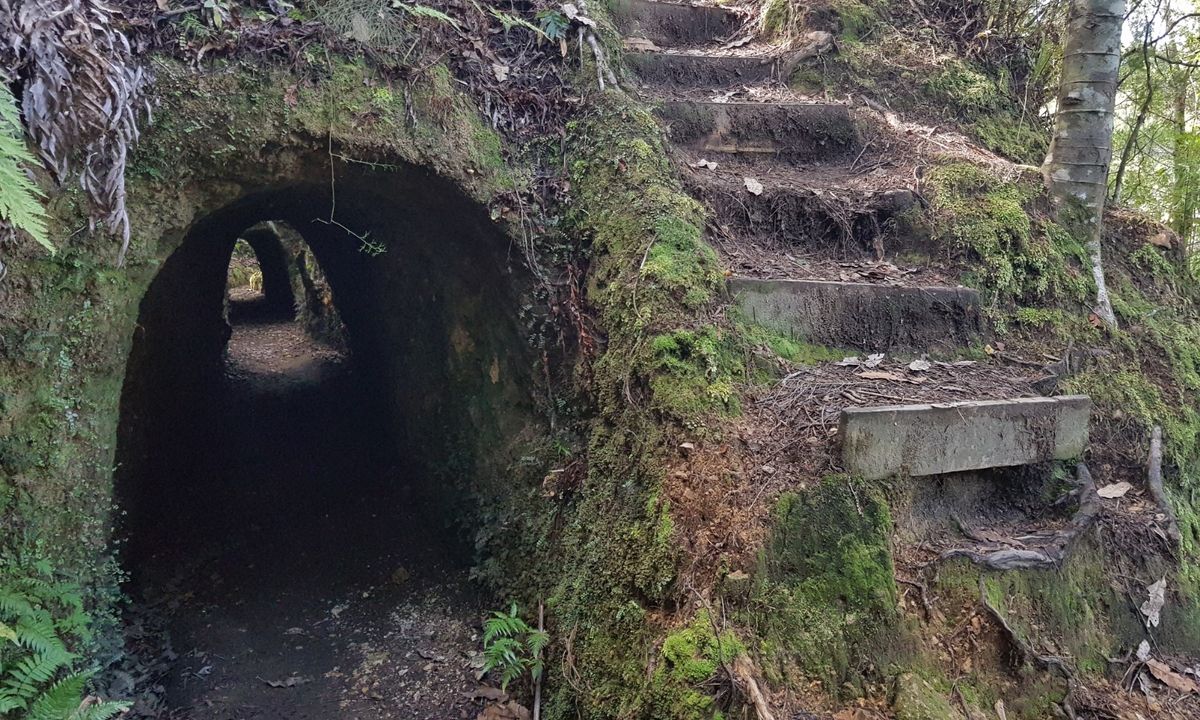 Broken Hills Historic Mine Tour, Waikato