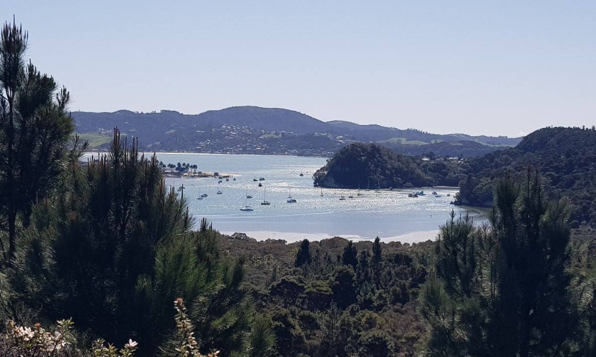 Ferry Landing to Hidden Bay, Waikato