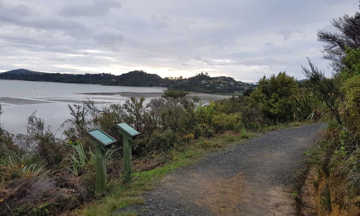 Kauri Block and Harray Trails, Waikato