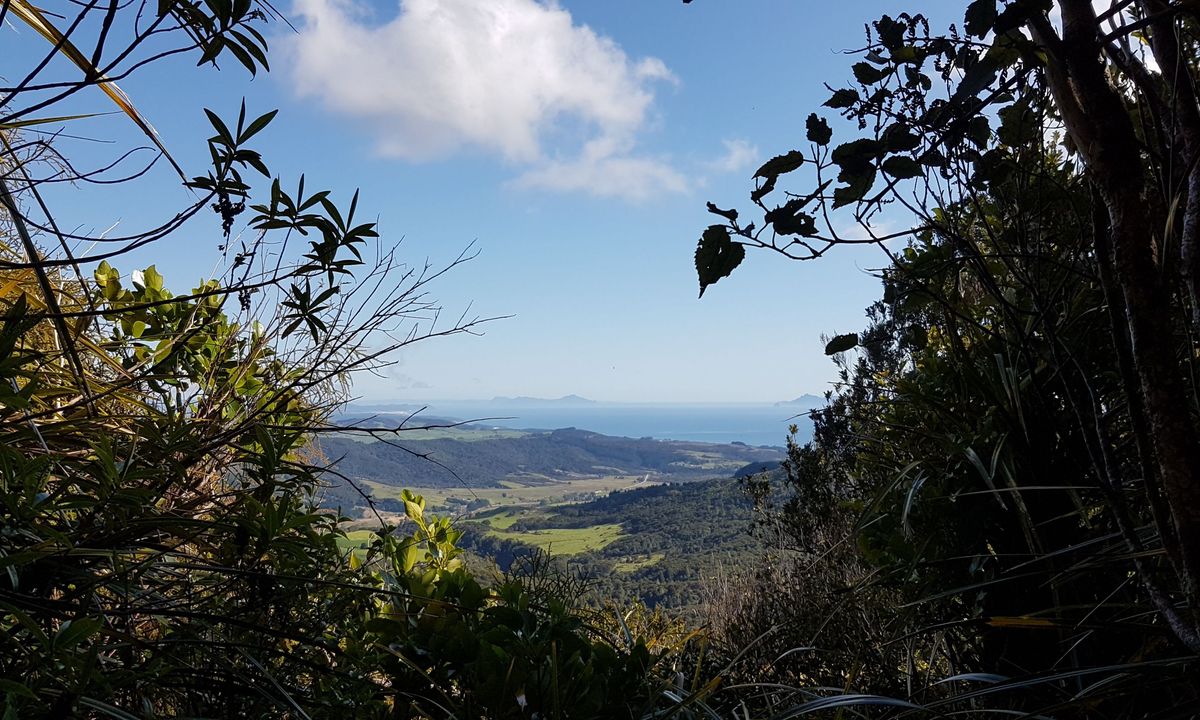 Mt Tamahunga, Auckland