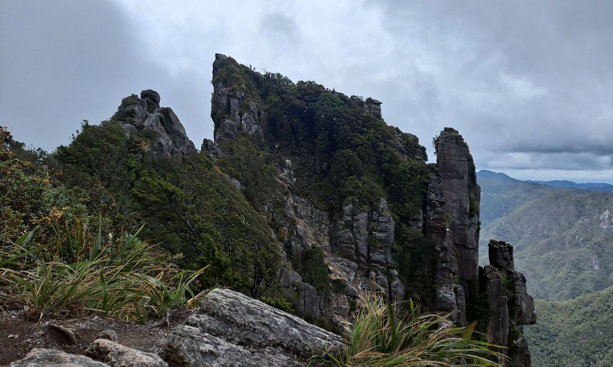 Pinnacles & Billy Goat, Waikato