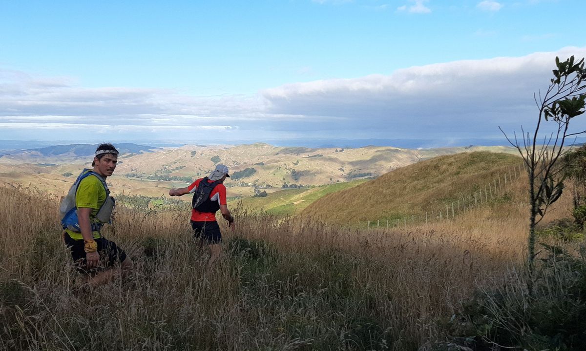 Hapuakohe Hills, Waikato