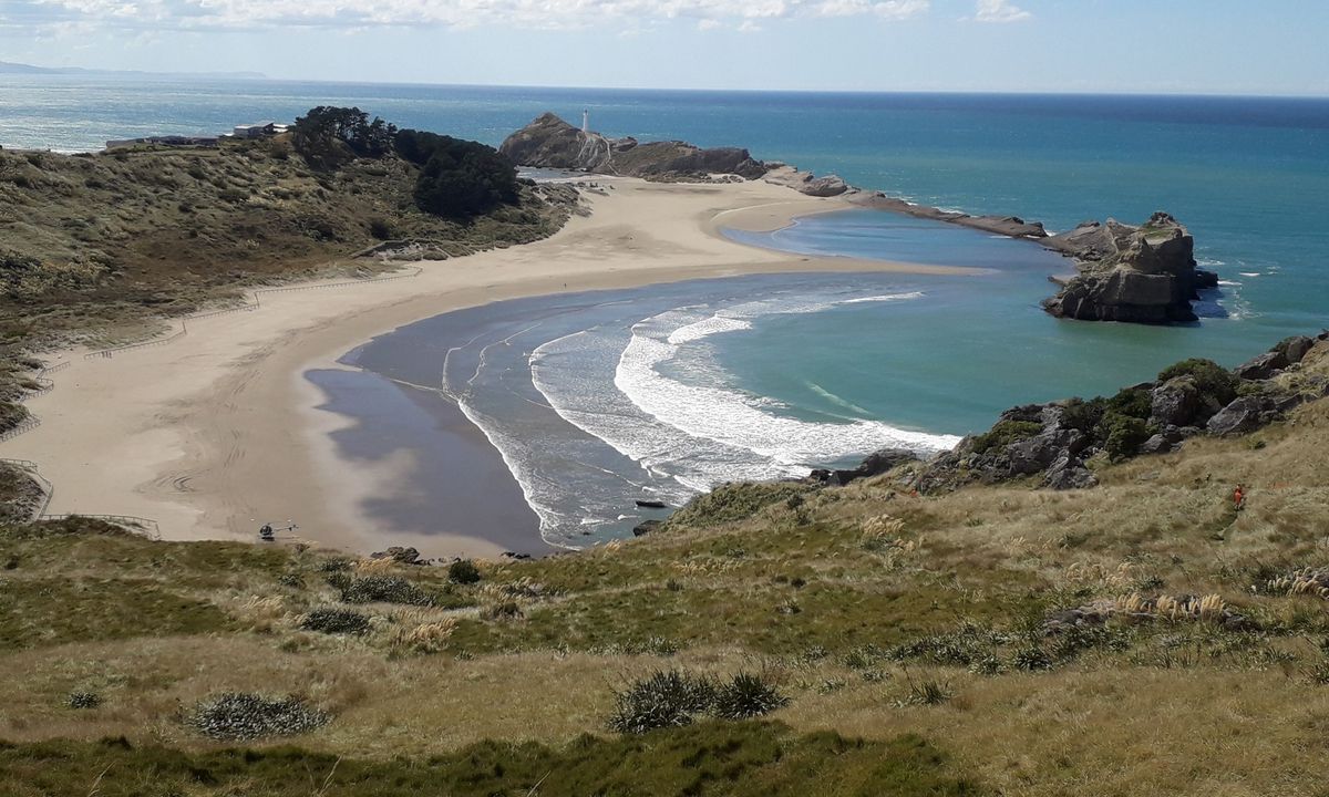 Deliverance Cove & Lighthouse Loop, Wellington