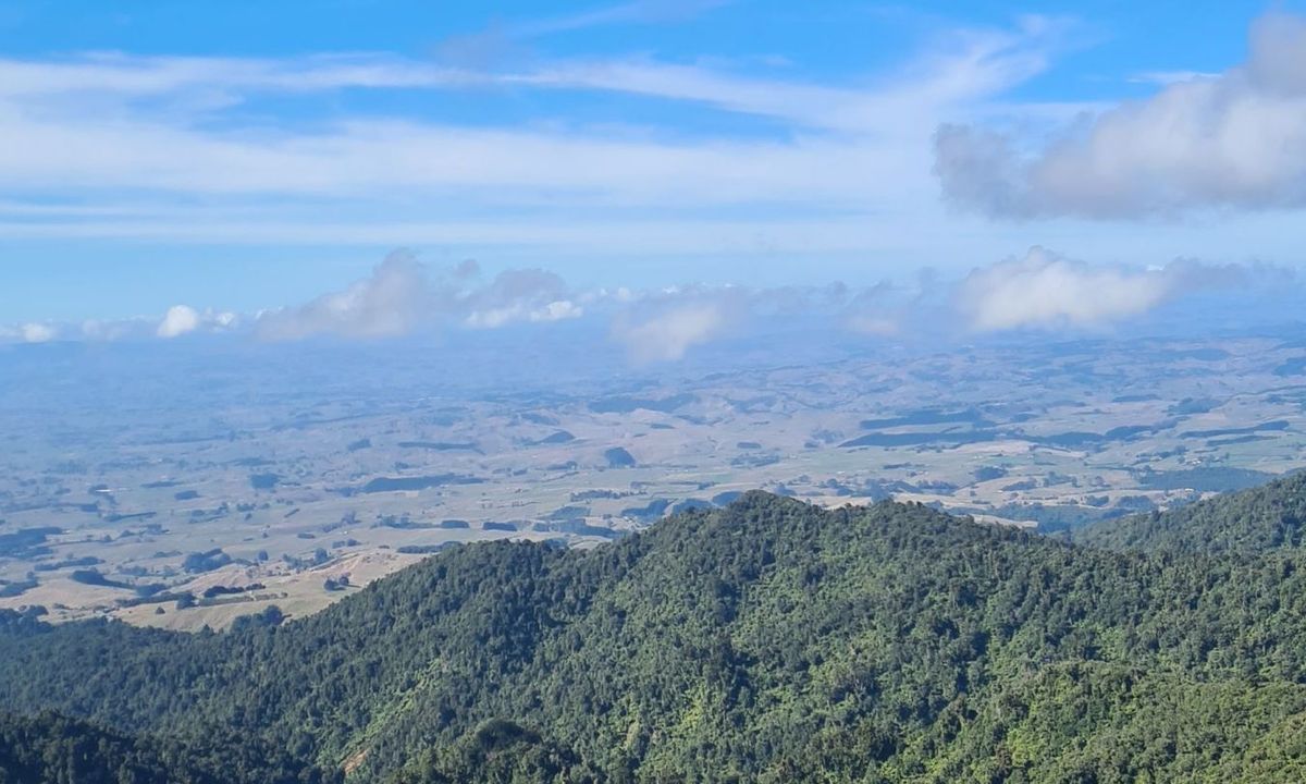 Pirongia