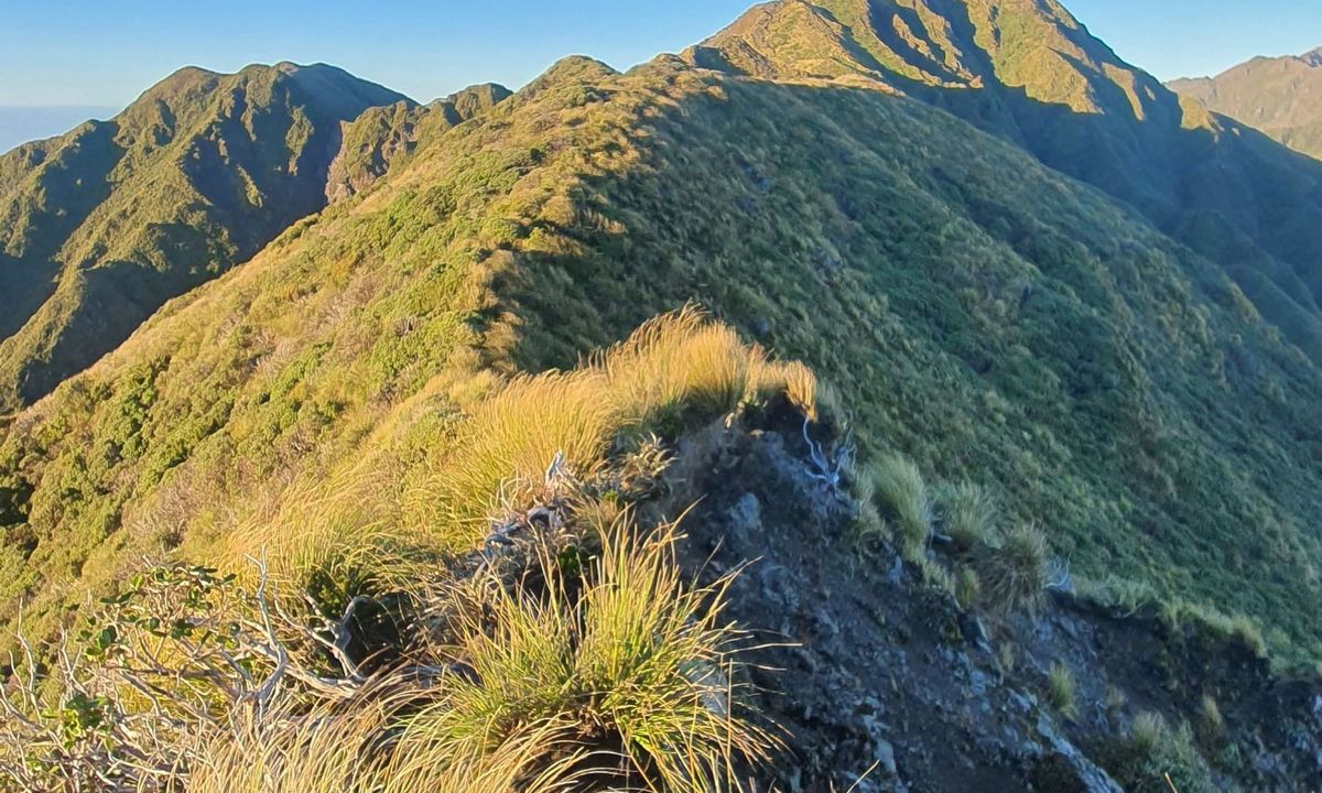 Herepai, Dundas, Cattle Ridge Loop, Manawatu - Wanganui