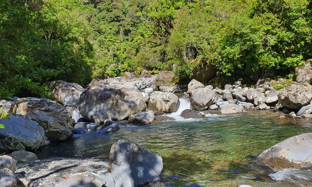 Herepai, Dundas, Cattle Ridge Loop, Manawatu - Wanganui