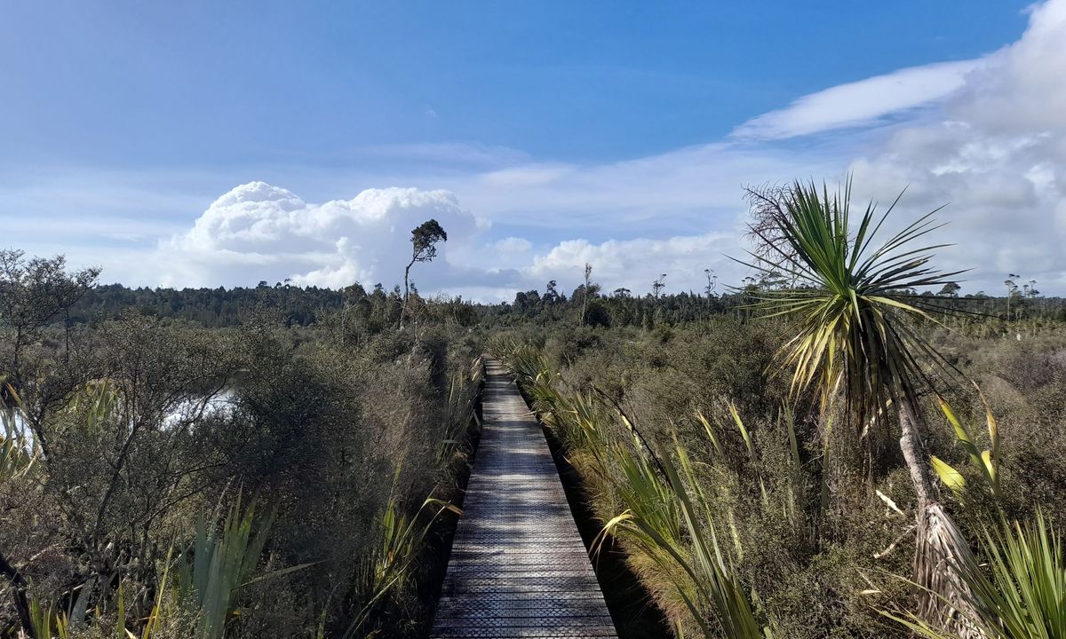 Mahinapua Walkway, West Coast
