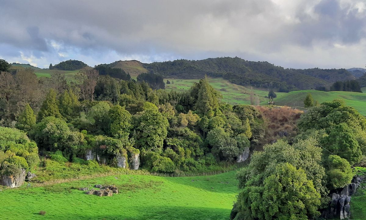 Waitomo Wander, Waikato