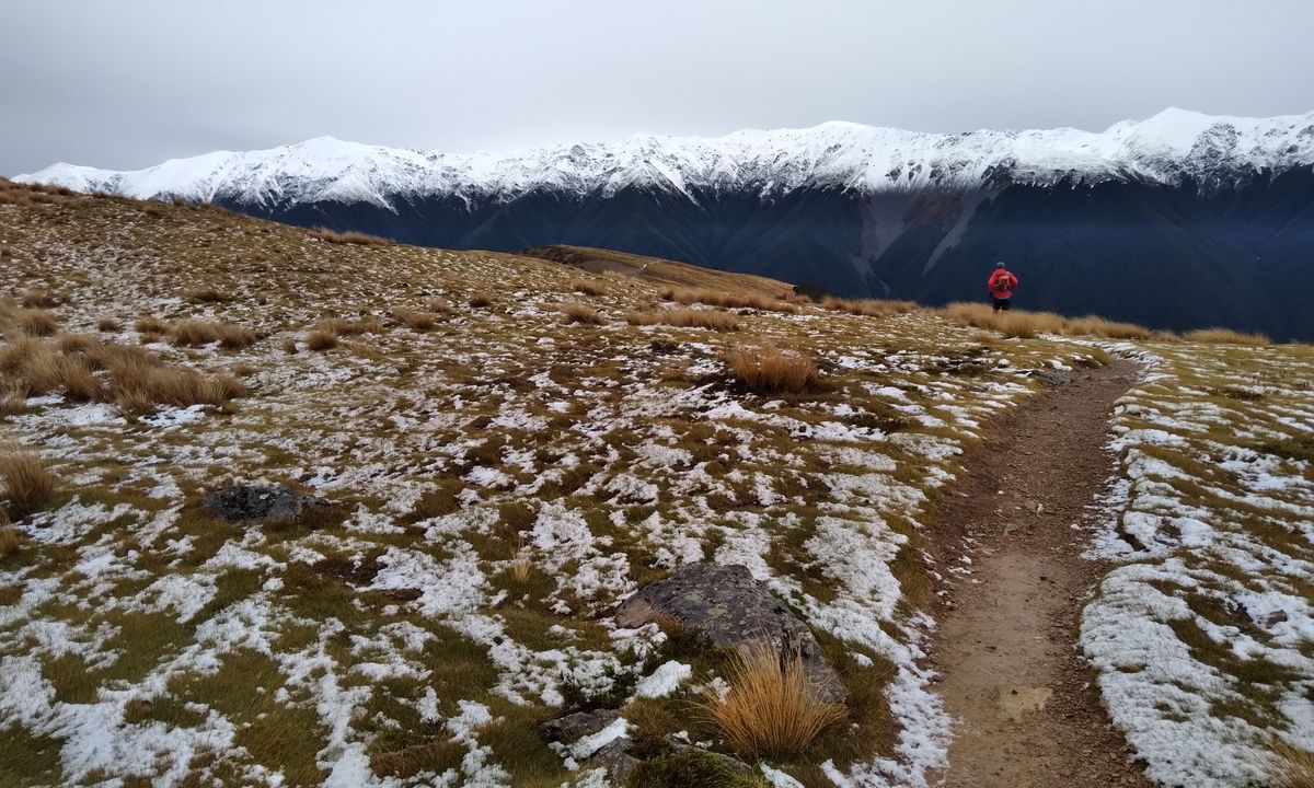 Mt Robert Loop, Tasman