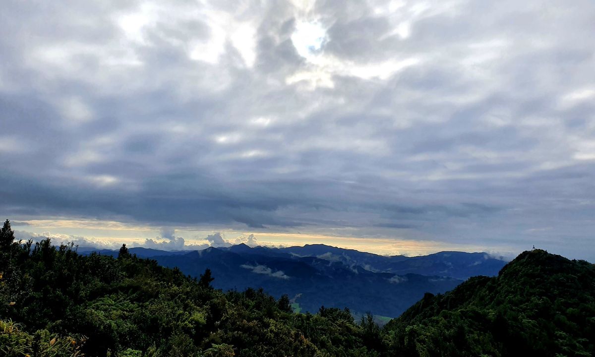 Karangahake Gold, Waikato