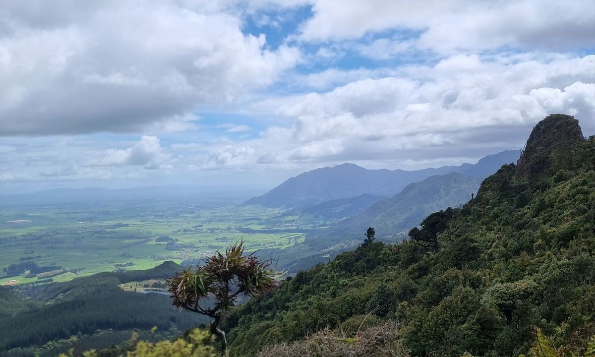 Kaimai Ranges North-South Track, Bay of Plenty
