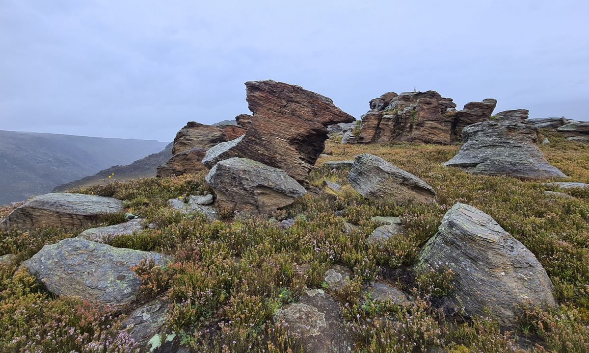 Flat Top Hill, Otago