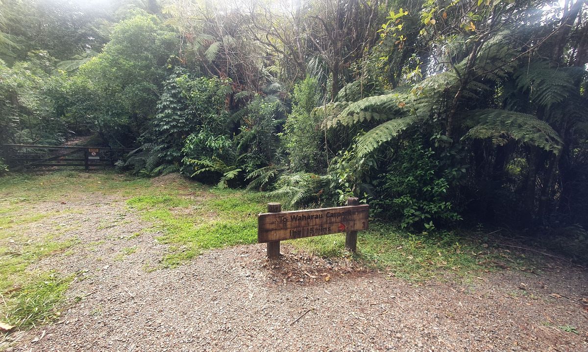 Waharau Ridge Gutbuster, Auckland