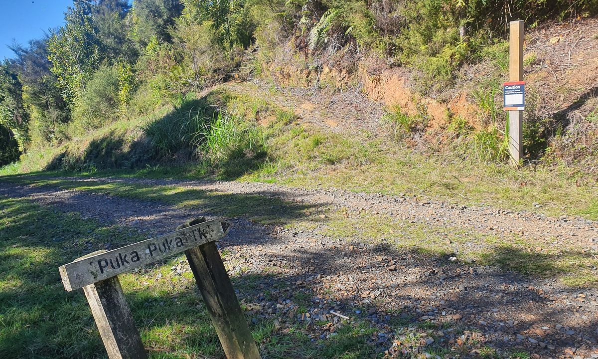 Ernie's Pukupuka Combined Loop, Auckland