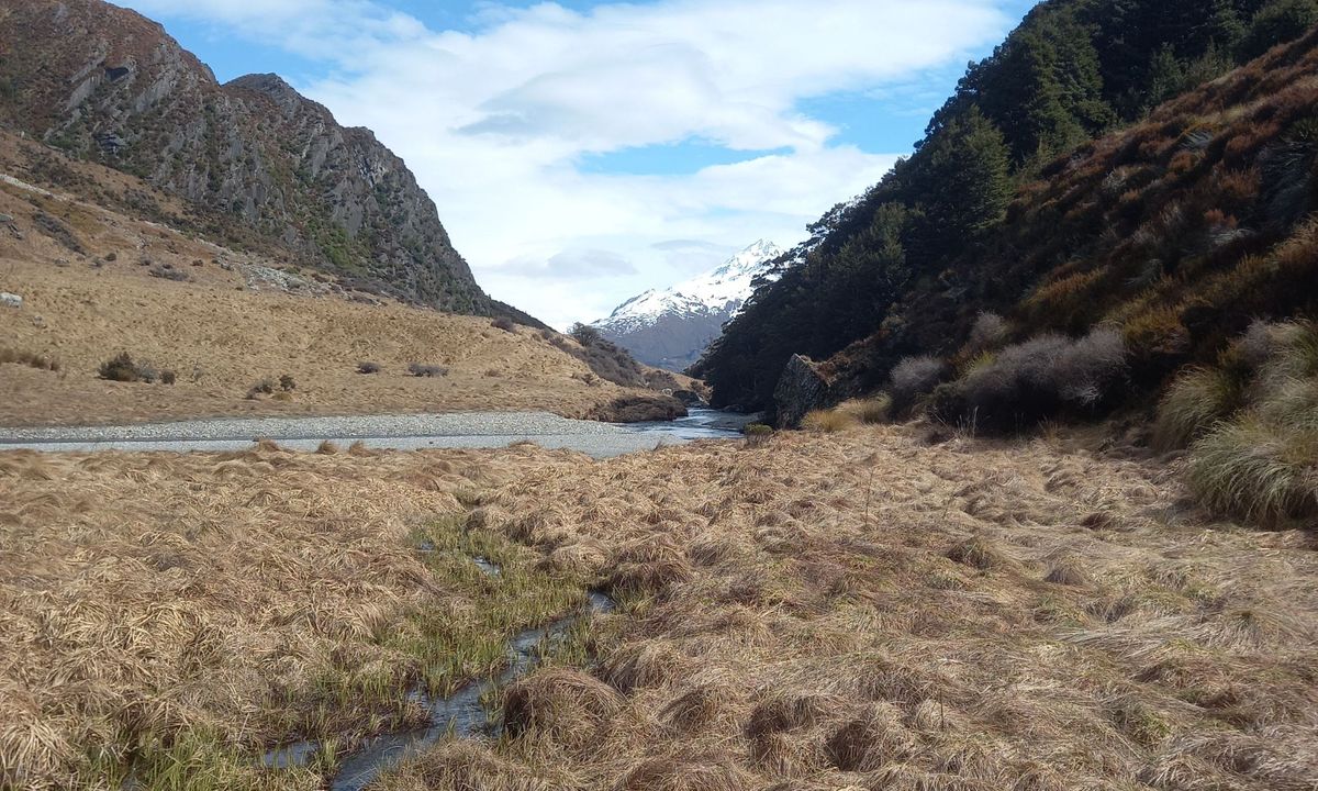Boundary Creek Track, Otago